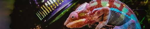 Zubehör